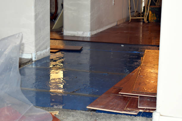 Professional Burst Pipe Cleanup technician working in Surveyor, WV